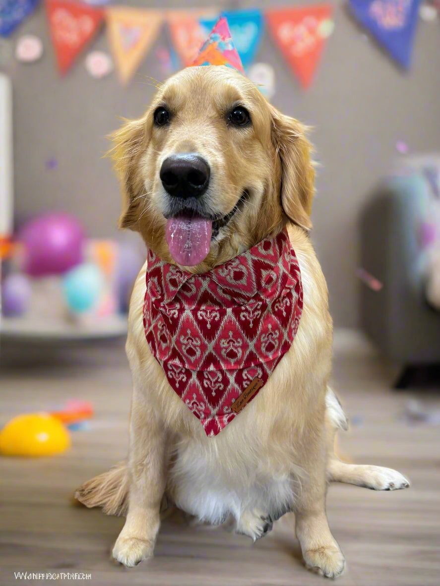 Ikat Dog Bandana with Shirt Collar Style