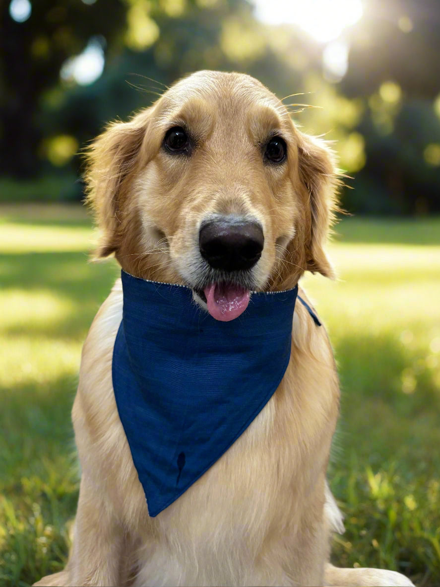 Reversible Dog Bandana with Dori / Tie Strings - Blue and White