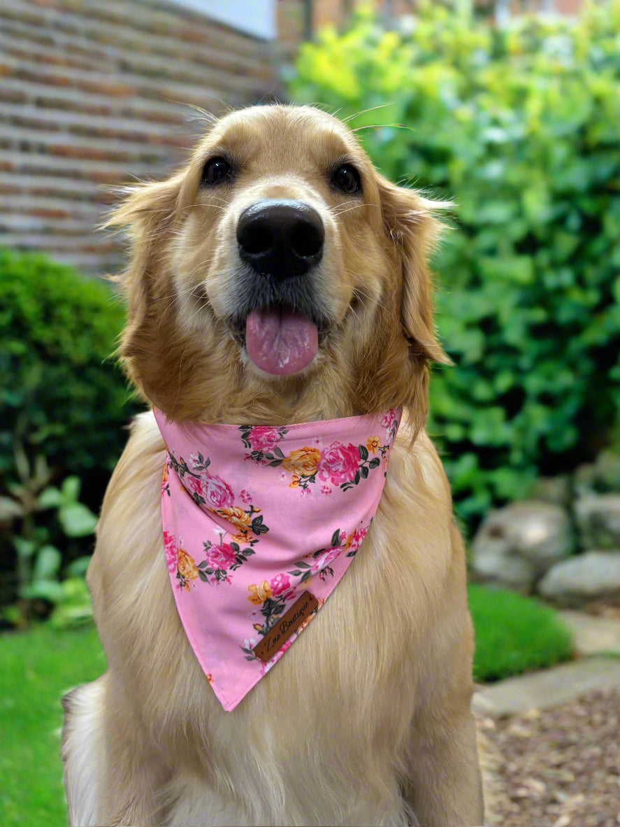 Dog wearing a pink floral bandana 