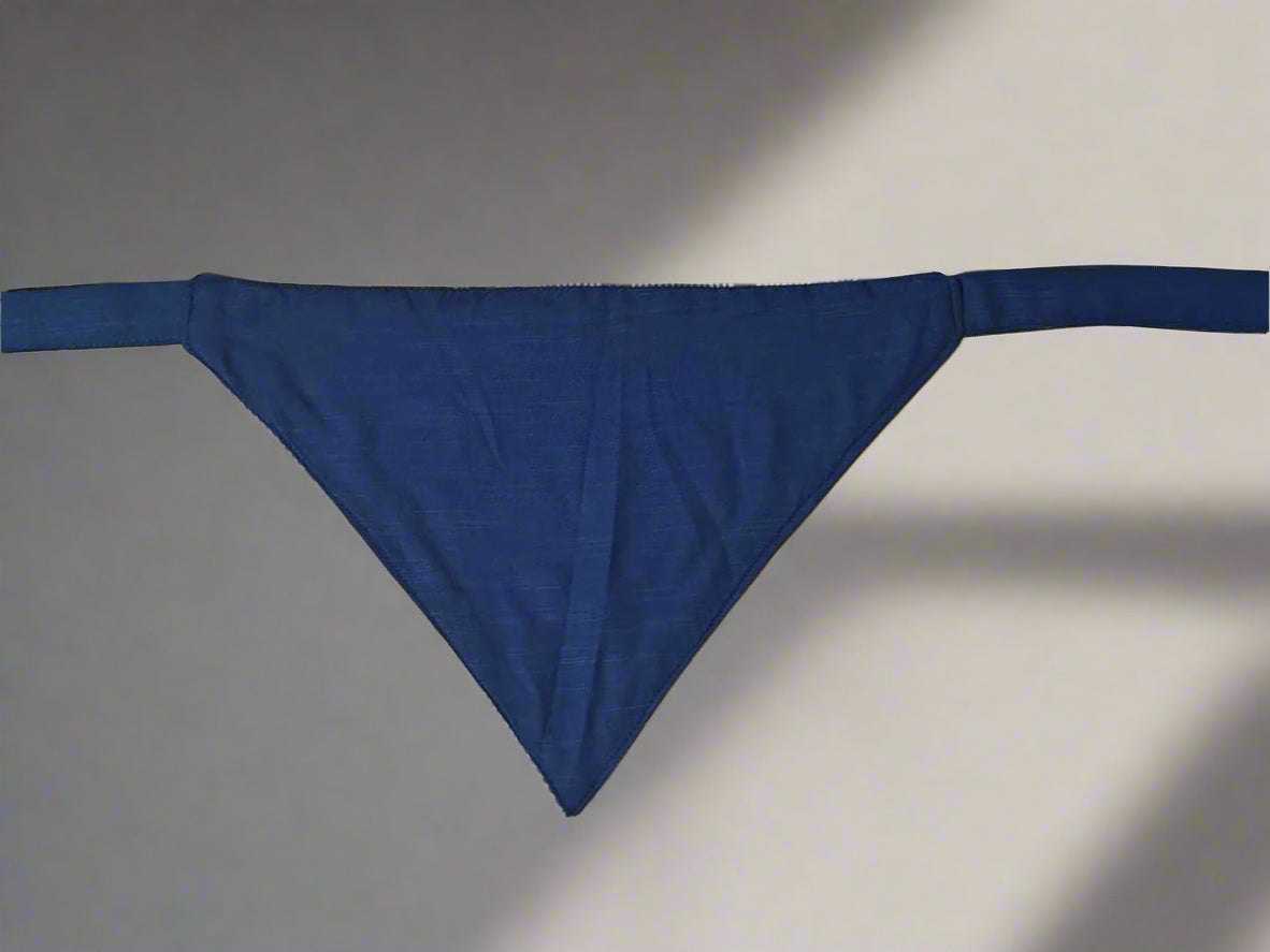 Reversible Dog Bandana with Dori / Tie Strings - Blue and White