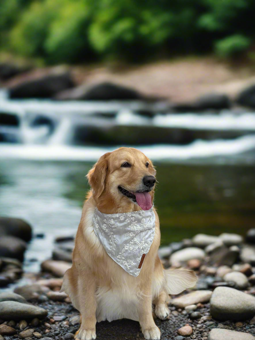 Easy Peasy Grey Floral Embroidered Dog Bandana – Slip-On Style