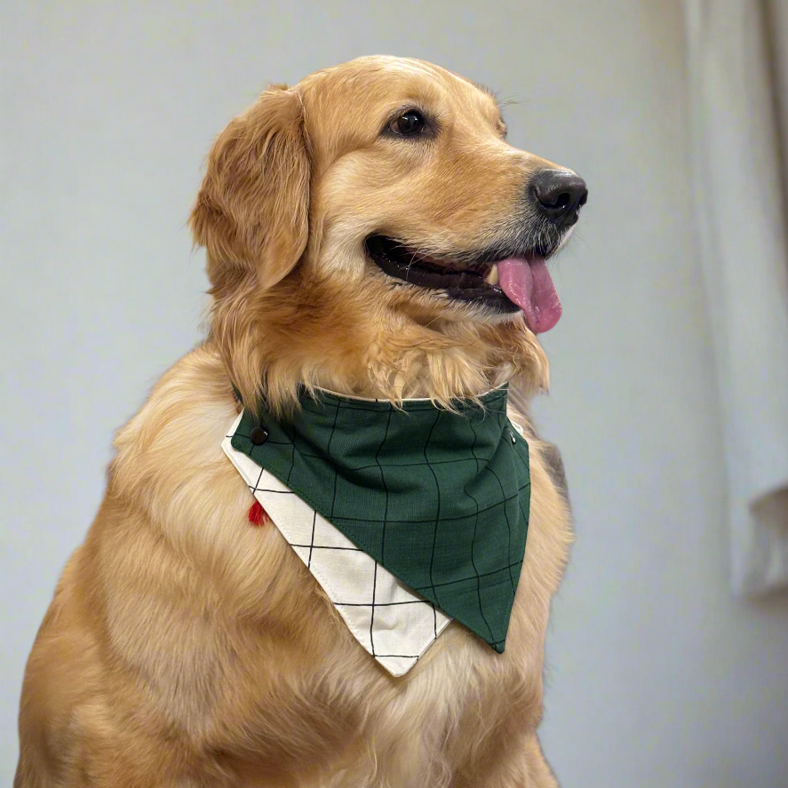Green and White Checks Two Way Bandana