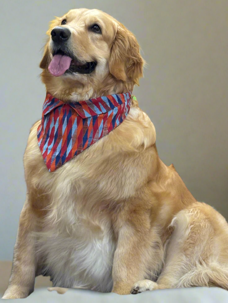 Geometric Print Dog Bandana with Shirt Collar