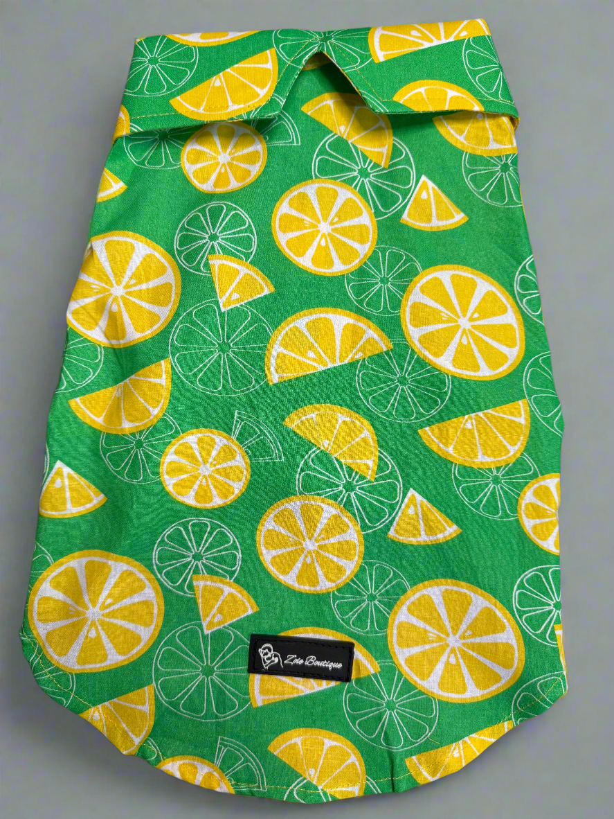 Zesty Citrus Dog Shirt