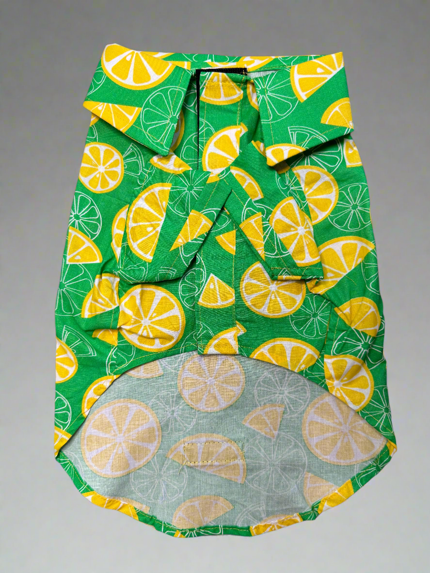 Zesty Citrus Dog Shirt