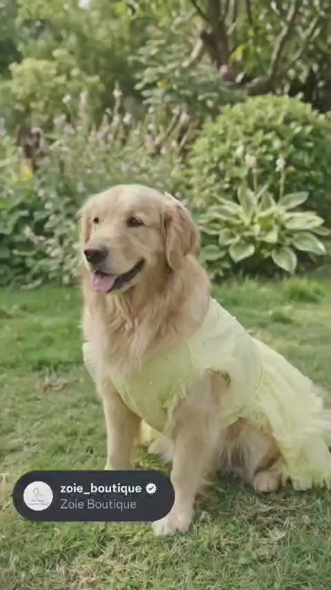 Princess Petal - Ballerina frock