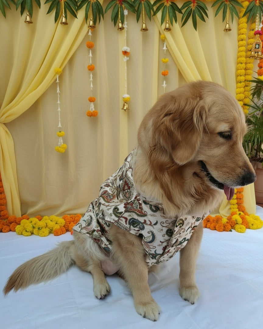 Heritage Inspired White Sherwani
