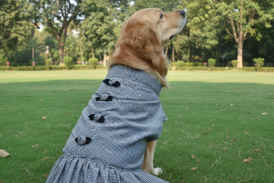 Bow-tiful Checks Frock