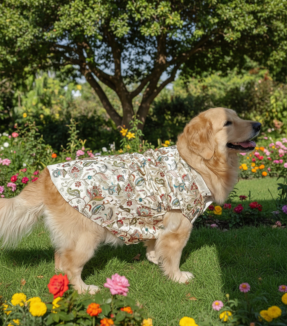 Heritage Inspired White Sherwani