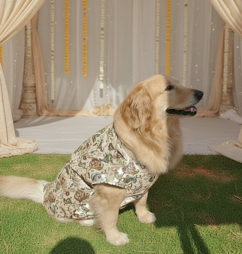 Heritage Inspired White Sherwani