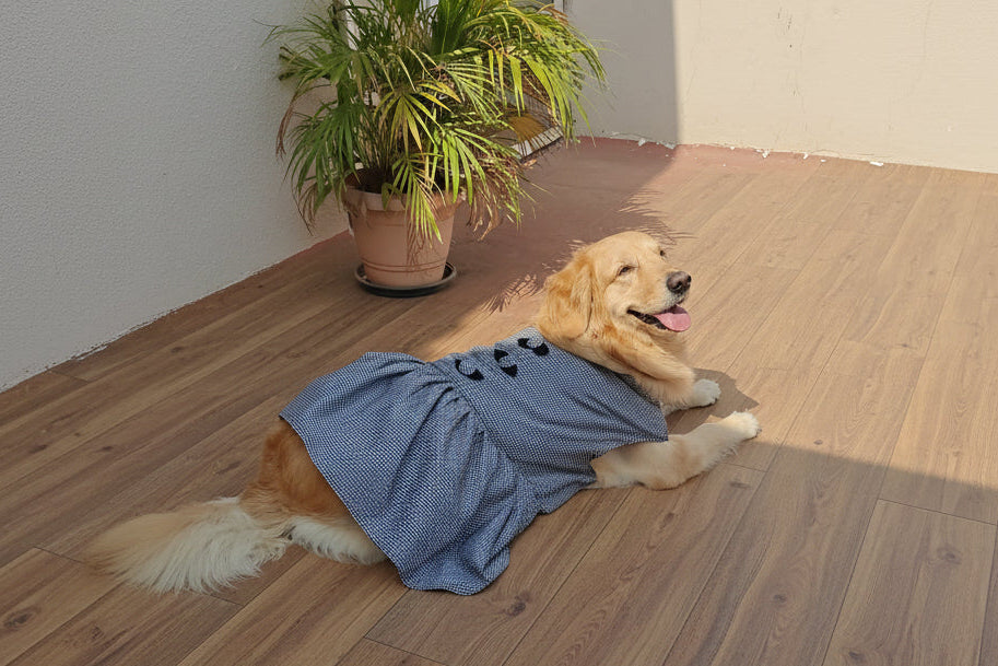 Bow-tiful Checks Frock